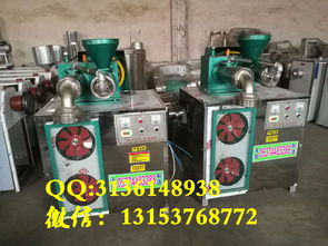 【天陽電動玉米冷面機(jī)技術(shù)新型鋼絲面機(jī)雜糧面條機(jī)報(bào)價(jià)】- 
